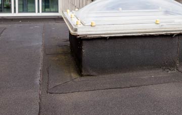 disadvantages of Skares flat roofs